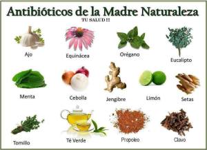 antibioticos de la naturaleza